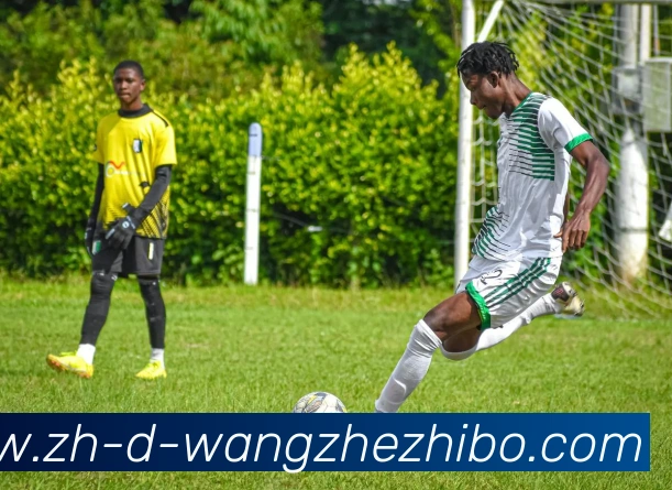 App Interface Preview